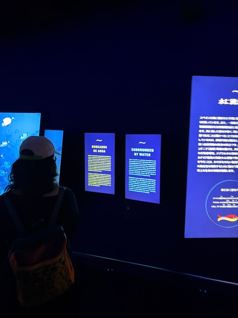 Expo Osaka 2025: Spain's Pavilion